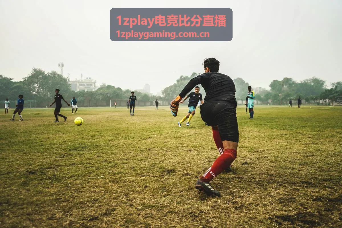 1zplay电竞比分直播合作赛事CS2冠军杯封面